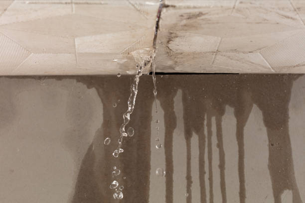 Professional Structural Drying technician working in Howland, ME